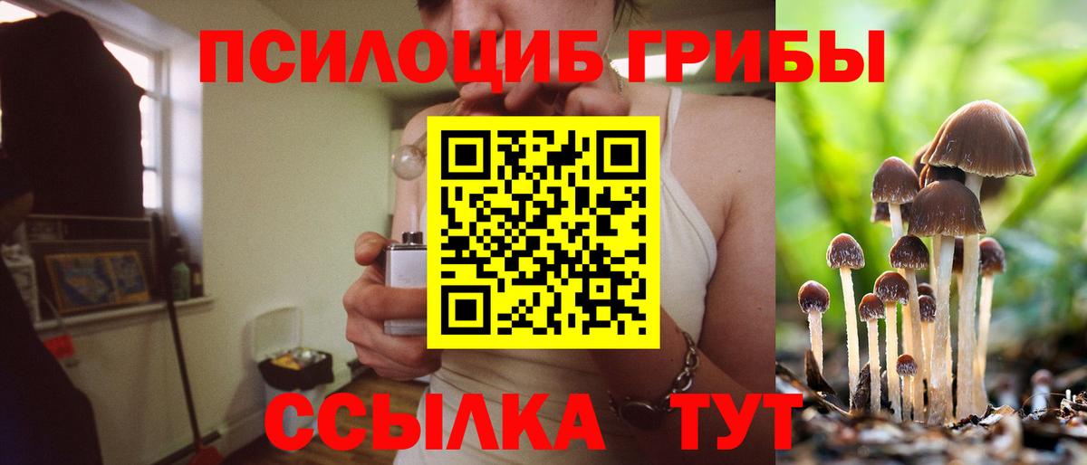 Псилоцибиновые грибы мицелий  закладки  Энгельс  Галлюциногенные грибы прущие грибы  Вход с VPN 